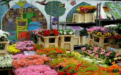 Columbia Road Flower Market …